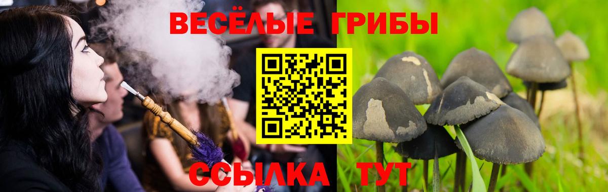 Галлюциногенные грибы мицелий  Вход с VPN  Наро-Фоминск 